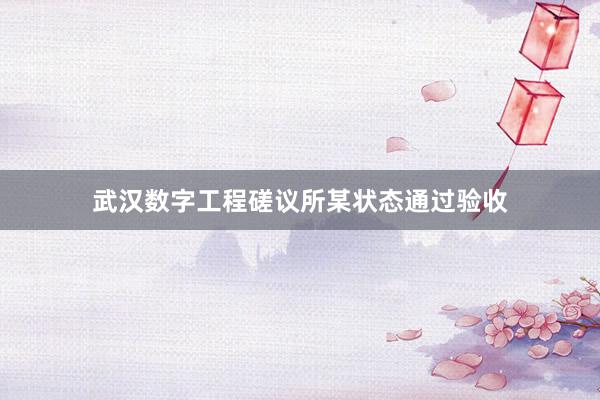 武汉数字工程磋议所某状态通过验收
